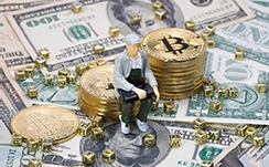 退休一年后，侯毅想成为宠物行业的“盒马鲜生”？第一家店落地上海，月薪1万元